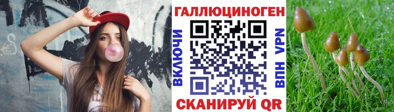 купить  цена  Орёл  Галлюциногенные грибы Psilocybine cubensis 